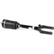 Purchase Top-Quality Suspension Air Strut by ARNOTT - AS3058 pa3