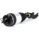 Purchase Top-Quality Suspension Air Strut by ARNOTT - AS3235 pa3