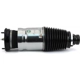 Purchase Top-Quality Suspension Air Strut by ARNOTT - AS3380 pa5