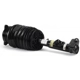 Purchase Top-Quality Suspension Air Strut by ARNOTT - AS3423 pa1