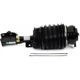 Purchase Top-Quality ARNOTT - AS3424 - Suspension Air Strut pa1