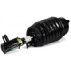 Purchase Top-Quality ARNOTT - AS3424 - Suspension Air Strut pa3