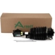Purchase Top-Quality ARNOTT - AS3424 - Suspension Air Strut pa4