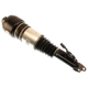 Purchase Top-Quality Suspension Air Strut by BILSTEIN - 44-143664 pa1