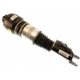 Purchase Top-Quality Suspension Air Strut by BILSTEIN - 44-143664 pa3