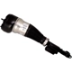 Purchase Top-Quality Suspension Air Strut by BILSTEIN - 44-240004 pa4