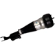 Purchase Top-Quality Suspension Air Strut by BILSTEIN - 44-240004 pa6