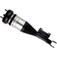 Purchase Top-Quality BILSTEIN - 44-251673 - Air Suspension Strut pa1