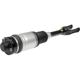 Purchase Top-Quality DORMAN - 949-351 - Air Suspension Strut pa1