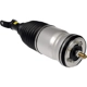 Purchase Top-Quality DORMAN - 949-357 - Air Suspension Strut pa1