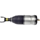 Purchase Top-Quality DORMAN - 949-357 - Air Suspension Strut pa2