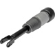 Purchase Top-Quality DORMAN - 949-856 - Air Suspension Air Strut Assembly pa1