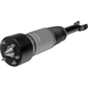Purchase Top-Quality DORMAN - 949-856 - Air Suspension Air Strut Assembly pa2
