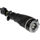 Purchase Top-Quality DORMAN - 949-858 - Air Suspension Air Strut Assembly pa1