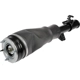 Purchase Top-Quality DORMAN - 949-858 - Air Suspension Air Strut Assembly pa2