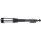 Purchase Top-Quality DORMAN - 949-861 - Air Suspension Air Strut Assembly pa1