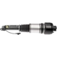 Purchase Top-Quality DORMAN - 949-863 - Air Suspension Air Strut Assembly pa1