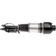 Purchase Top-Quality DORMAN - 949-863 - Air Suspension Air Strut Assembly pa2