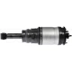 Purchase Top-Quality Suspension Air Strut by DORMAN - 949-889 pa2