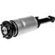 Purchase Top-Quality DORMAN - 949-984 - Air Suspension Air Strut Assembly pa1