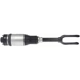 Purchase Top-Quality Suspension Air Strut by DORMAN (OE SOLUTIONS) - 949-351 pa1