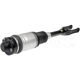 Purchase Top-Quality Suspension Air Strut by DORMAN (OE SOLUTIONS) - 949-351 pa3