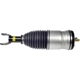 Purchase Top-Quality DORMAN (OE SOLUTIONS) - 949-357 - Suspension Air Strut pa8