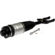 Purchase Top-Quality DORMAN (OE SOLUTIONS) - 949-368 - Air Suspension Strut pa1