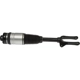 Purchase Top-Quality DORMAN (OE SOLUTIONS) - 949-368 - Air Suspension Strut pa2