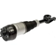 Purchase Top-Quality DORMAN (OE SOLUTIONS) - 949-802 - Suspension Air Strut pa1