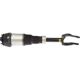 Purchase Top-Quality DORMAN (OE SOLUTIONS) - 949-802 - Suspension Air Strut pa2