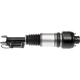 Purchase Top-Quality DORMAN (OE SOLUTIONS) - 949-851 - Air Suspension Air Strut Assembly pa1