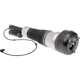 Purchase Top-Quality Suspension Air Strut by DORMAN (OE SOLUTIONS) - 949854 pa1