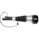 Purchase Top-Quality DORMAN (OE SOLUTIONS) - 949-854 - Air Suspension Air Strut Assembly pa4
