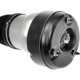 Purchase Top-Quality DORMAN (OE SOLUTIONS) - 949-854 - Air Suspension Air Strut Assembly pa7