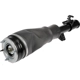Purchase Top-Quality DORMAN (OE SOLUTIONS) - 949-858 - Air Suspension Air Strut Assembly pa6