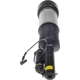Purchase Top-Quality Suspension Air Strut by DORMAN (OE SOLUTIONS) - 949860 pa2