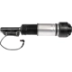 Purchase Top-Quality Suspension Air Strut by DORMAN (OE SOLUTIONS) - 949860 pa3