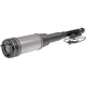 Purchase Top-Quality DORMAN (OE SOLUTIONS) - 949-861 - Air Suspension Air Strut Assembly pa1