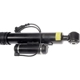 Purchase Top-Quality DORMAN (OE SOLUTIONS) - 949-861 - Air Suspension Air Strut Assembly pa6