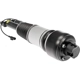 Purchase Top-Quality DORMAN (OE SOLUTIONS) - 949-863 - Air Suspension Air Strut Assembly pa1