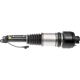 Purchase Top-Quality DORMAN (OE SOLUTIONS) - 949863 - Suspension Air Strut pa10