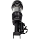 Purchase Top-Quality DORMAN (OE SOLUTIONS) - 949-863 - Air Suspension Air Strut Assembly pa3