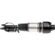 Purchase Top-Quality DORMAN (OE SOLUTIONS) - 949-863 - Air Suspension Air Strut Assembly pa5