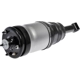 Purchase Top-Quality DORMAN (OE SOLUTIONS) - 949-889 - Air Suspension Air Strut Assembly pa1