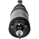 Purchase Top-Quality DORMAN (OE SOLUTIONS) - 949-889 - Air Suspension Air Strut Assembly pa2