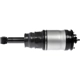Purchase Top-Quality DORMAN (OE SOLUTIONS) - 949-889 - Air Suspension Air Strut Assembly pa4