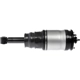 Purchase Top-Quality Suspension Air Strut by DORMAN (OE SOLUTIONS) - 949889 pa4