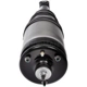 Purchase Top-Quality Suspension Air Strut by DORMAN (OE SOLUTIONS) - 949889 pa5