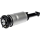 Purchase Top-Quality DORMAN (OE SOLUTIONS) - 949-984 - Air Suspension Air Strut Assembly pa1